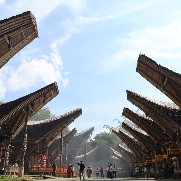 Batalyon Jawa Yang Merepotkan Tuan Tanah Di Toraja - Historia