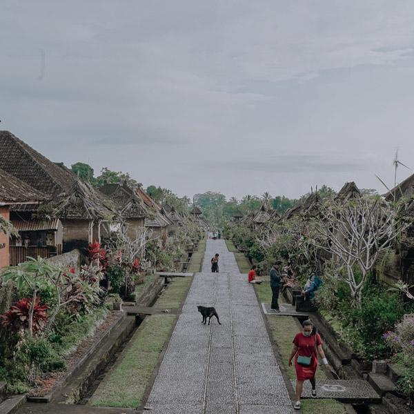 Pesona Dari Desa Penglipuran - Historia