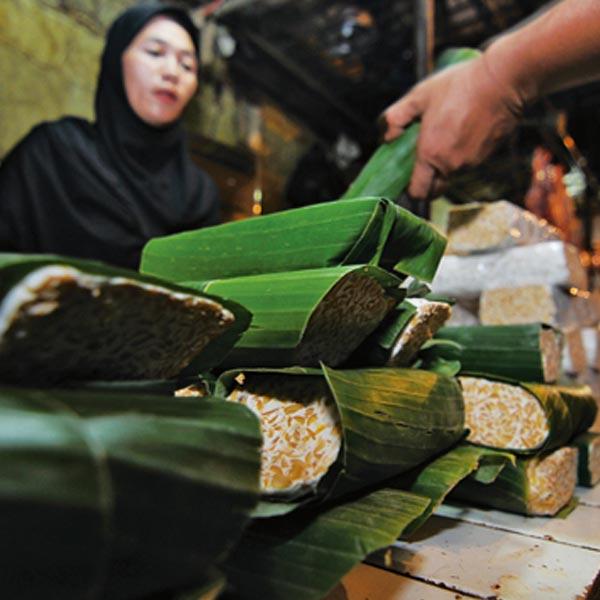 Sejarah Tempe Makanan Khas Indonesia